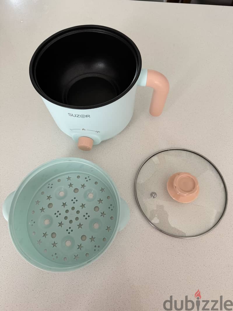 Electric Cooker+Steam Cooker 1
