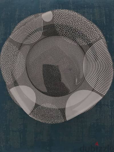 Small Glass Plates set, 20 plates only for 8 OMR