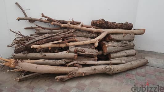 Tree Woods for sale