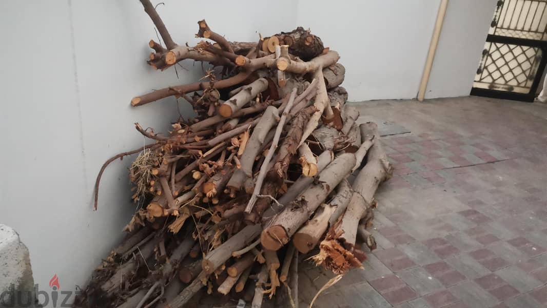Tree Woods for sale 1