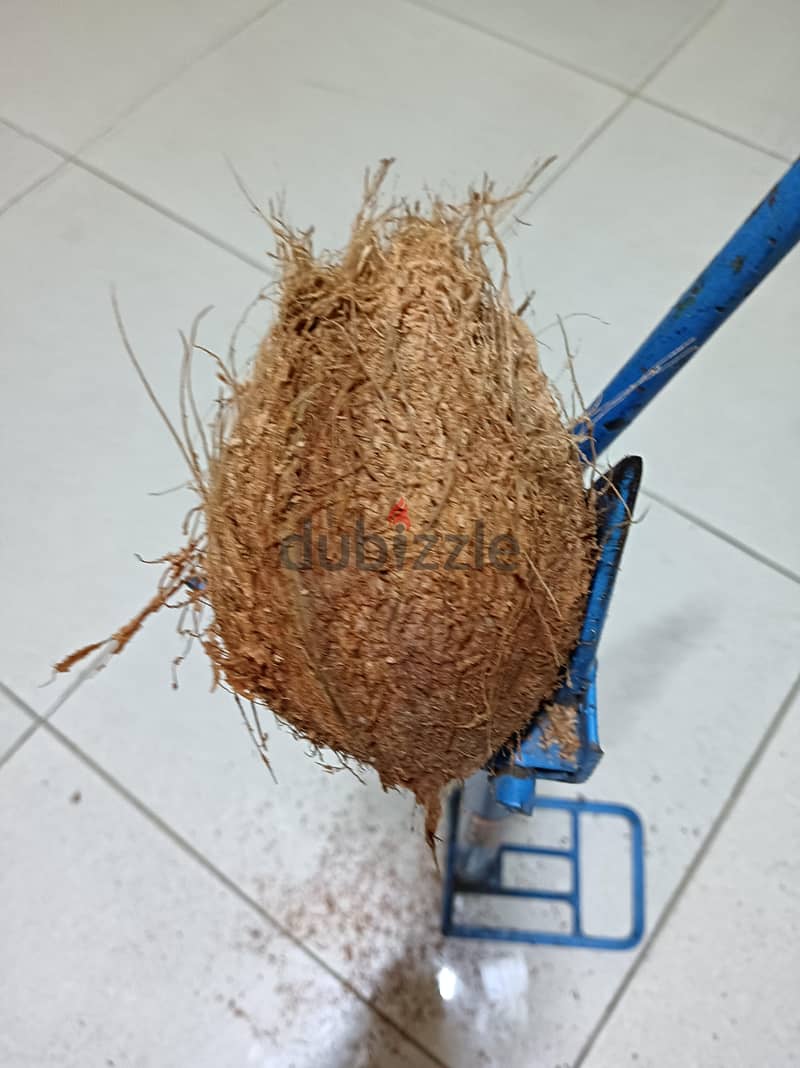 Coconut Skin Removal Tools Call 76305313 5