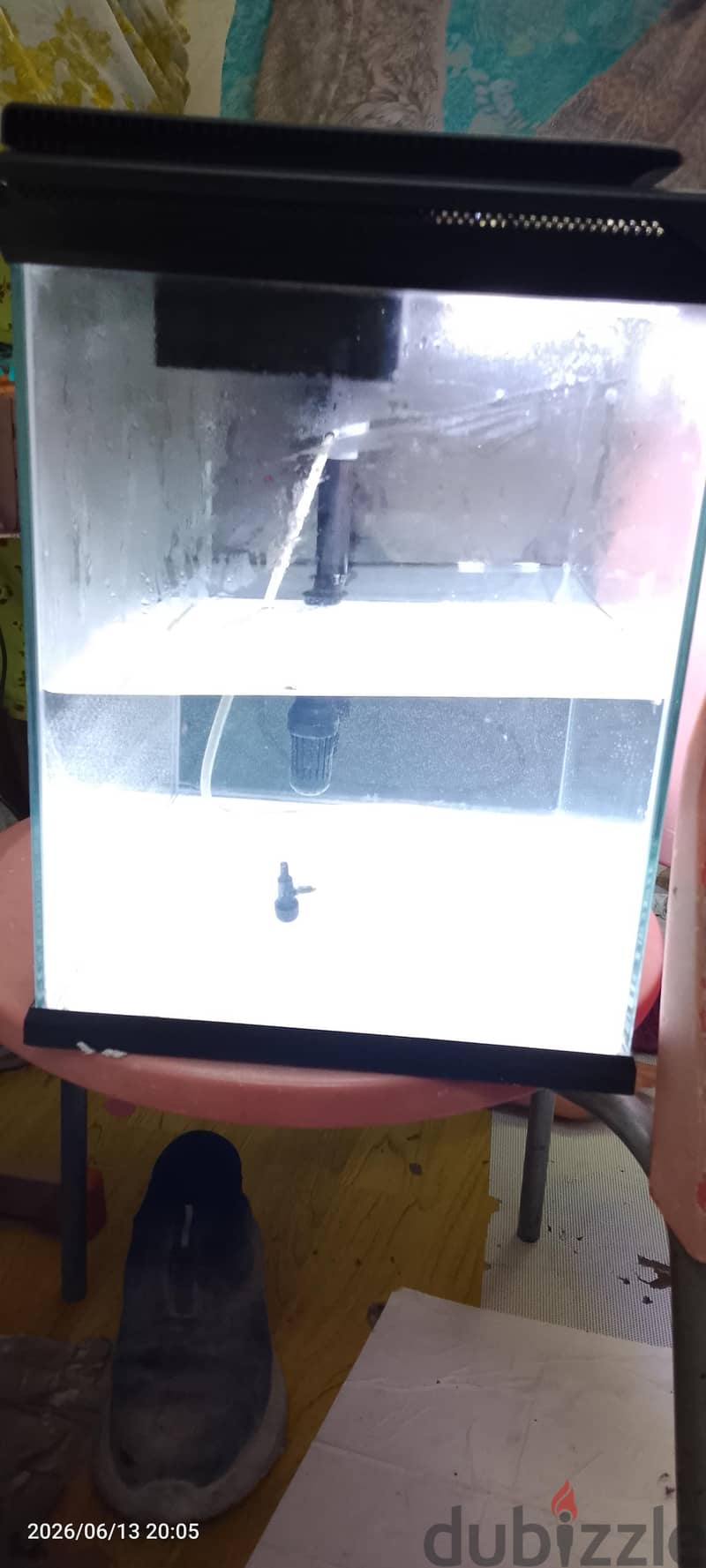 fish aquarium 2