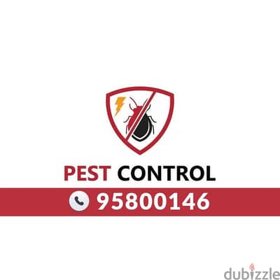 Emergency Pest Control, Urgent Termite & Rodent Removal – Muscat