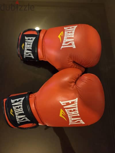Original Everlast Boxing Gloves 12oz