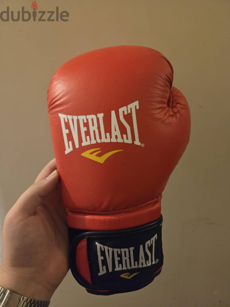 Original Everlast Boxing Gloves 12oz 1