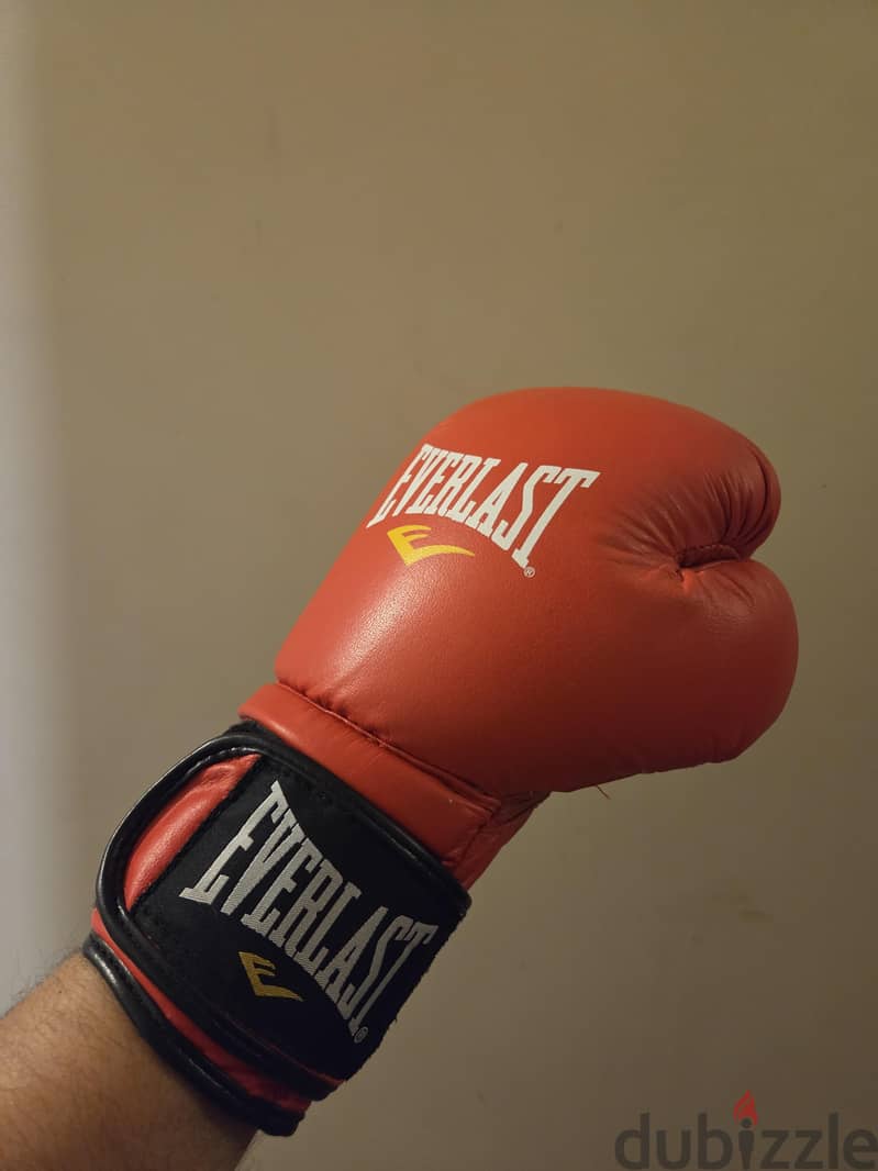 Original Everlast Boxing Gloves 12oz 2