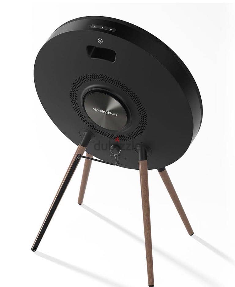 Morror Art R1 Speaker 3