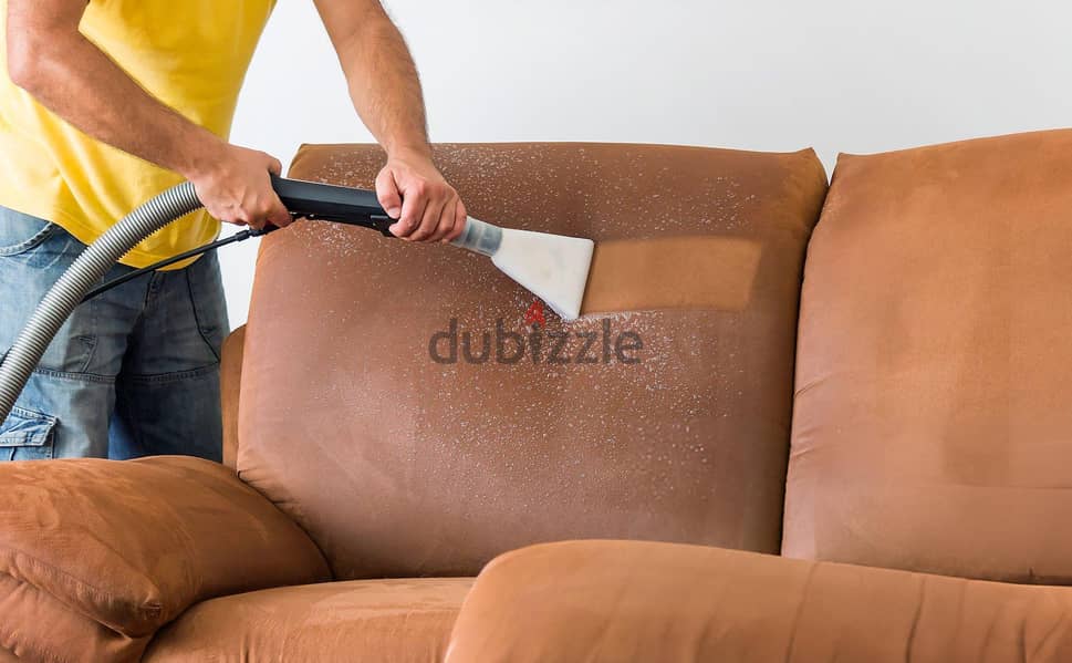 professional sofa cleaning service 2