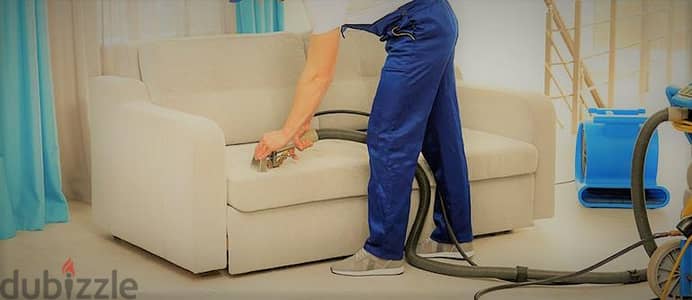 Sofa cleaning. .