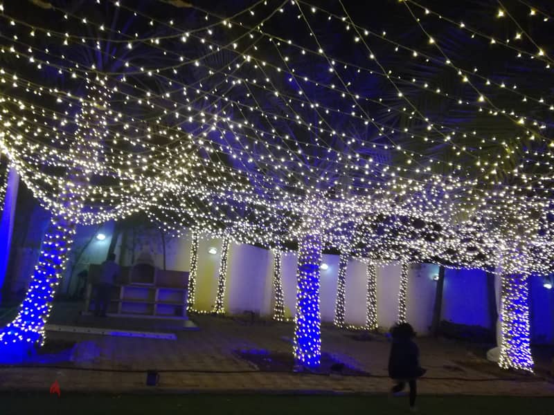 Warm Wedding Lights for Homes | Candle Light Effect | Muscat 3