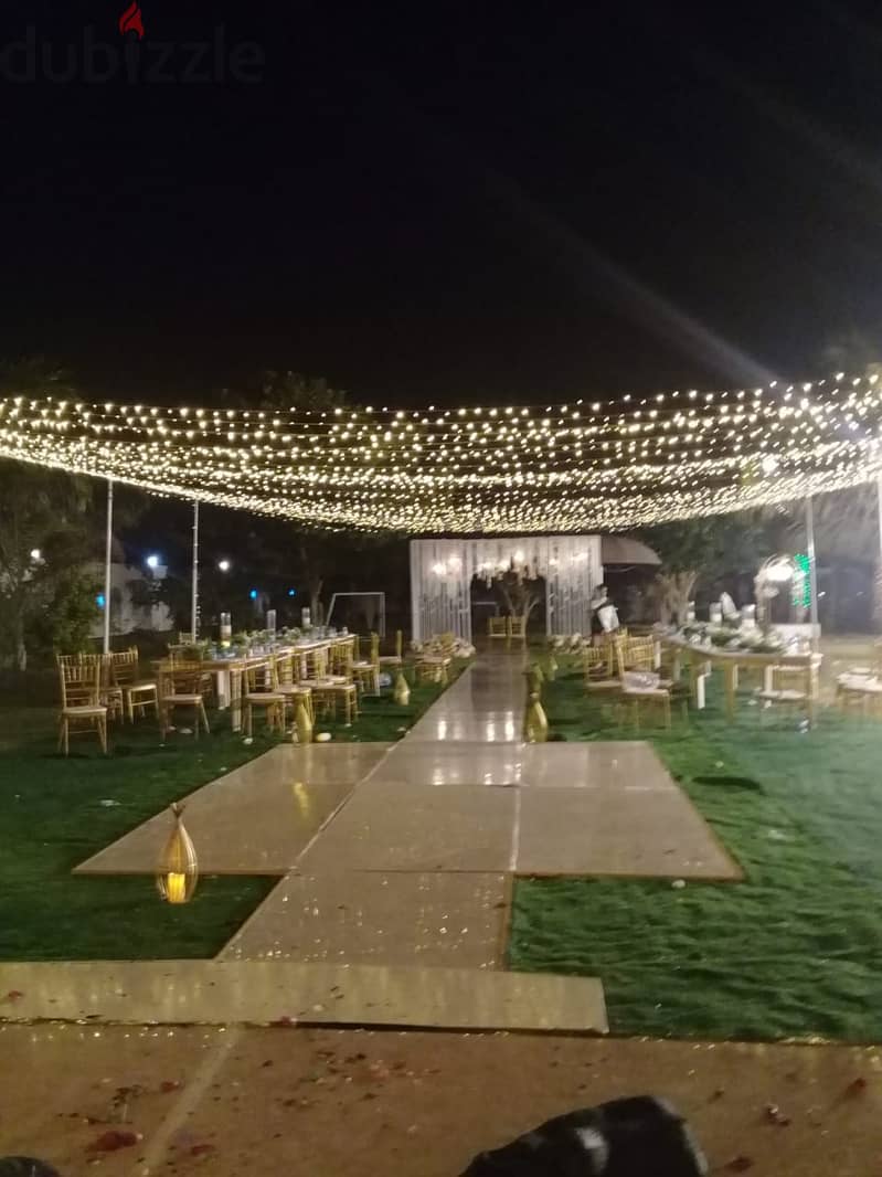 Warm Wedding Lights for Homes | Candle Light Effect | Muscat 5
