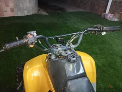 Taiwanese changzhou newpower np-r for sale