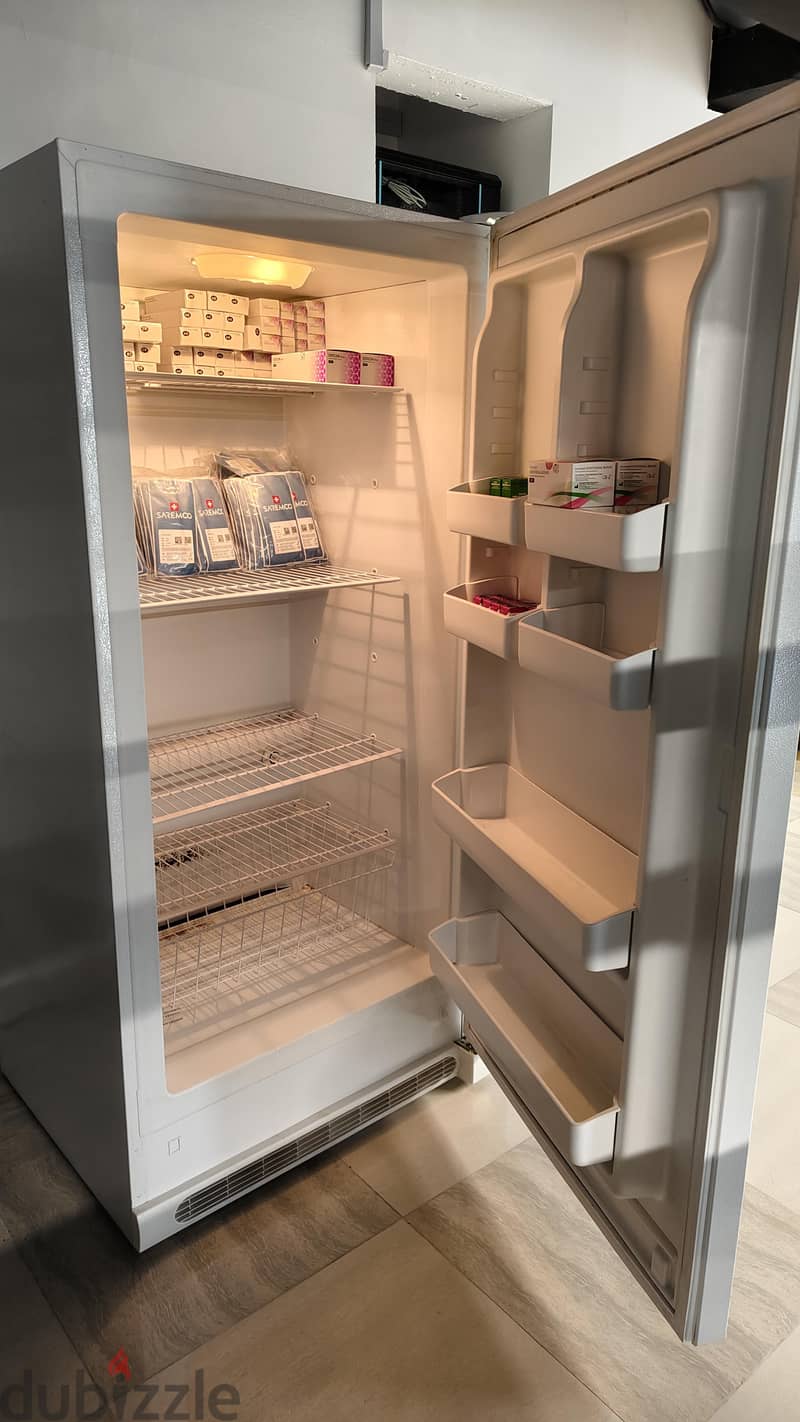 Used Frigidaire Upright Deep Freezer - Excellent Condition 1