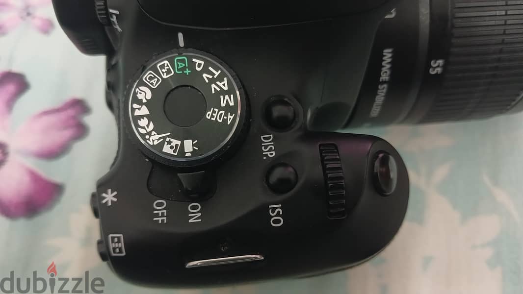 600d with Lens 1