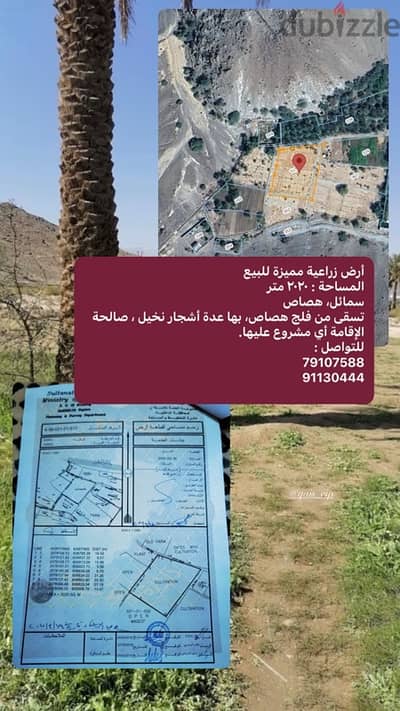 ارض زراعيه في هصاص