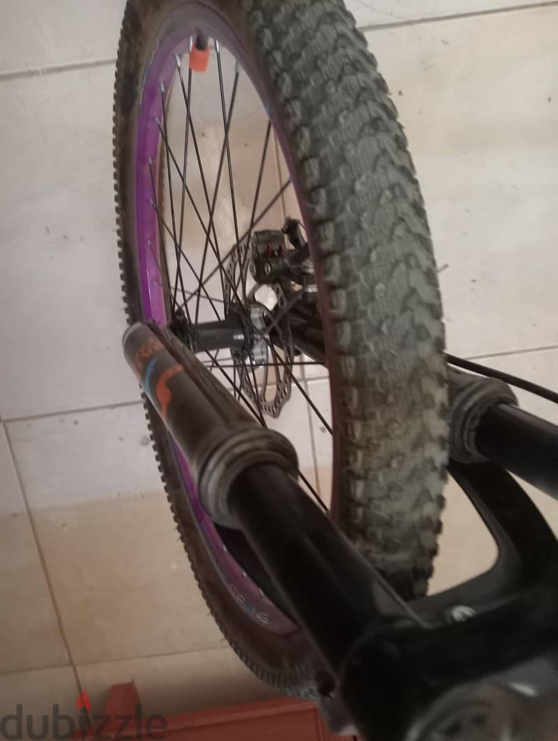 limited edition bike 1