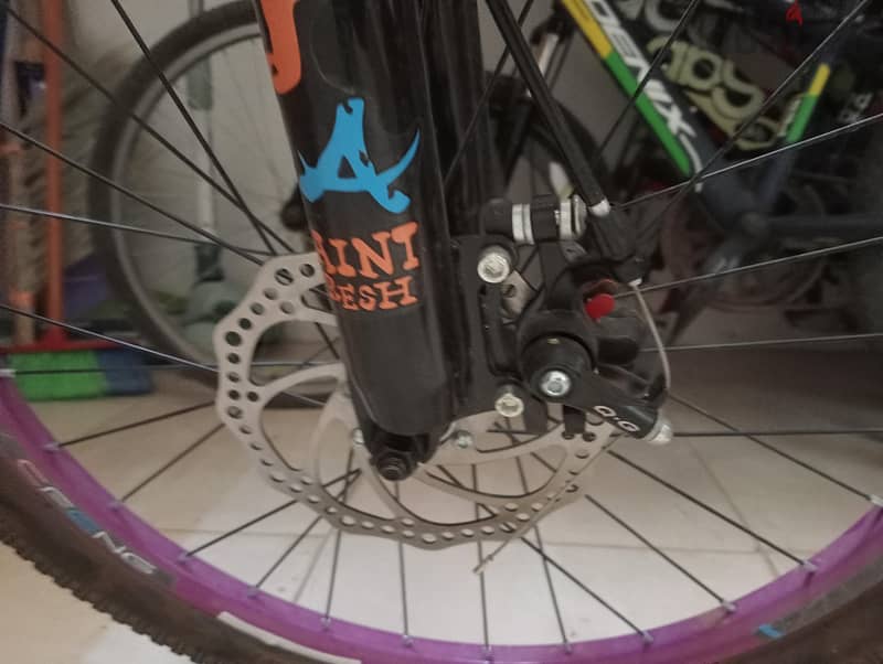 limited edition bike 2