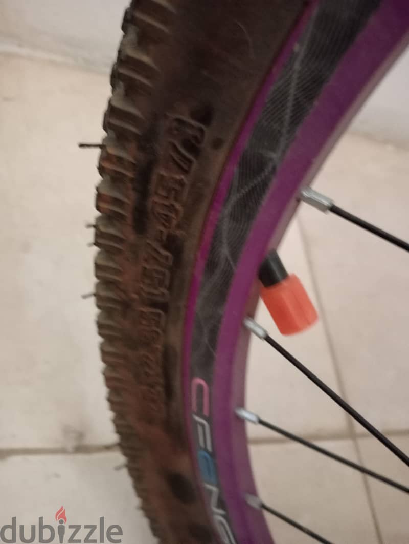 limited edition bike 4