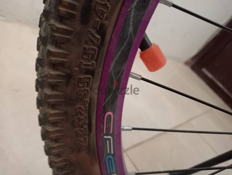 limited edition bike 5