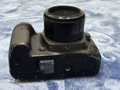 كانون 5D mark IV