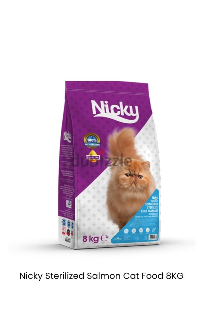 "Pet Cat Accessories" 6