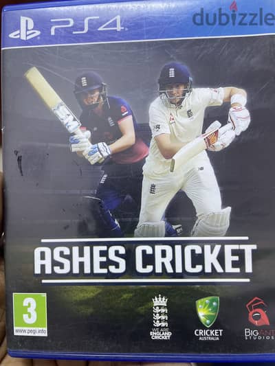 PS4 Cricket Game