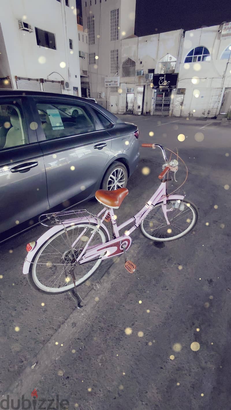 ladies bicycle 1