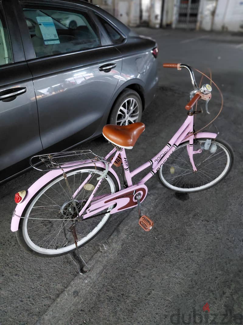 ladies bicycle 2