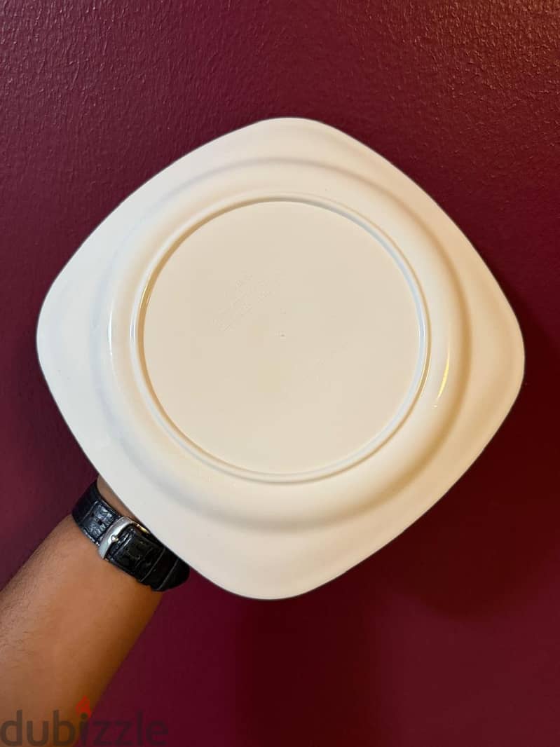 12 pieces white melamine plates 4