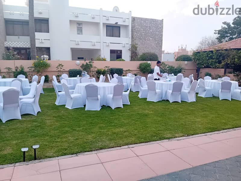 تأجير الكراسي والطاولات rental of chairs and tables 3