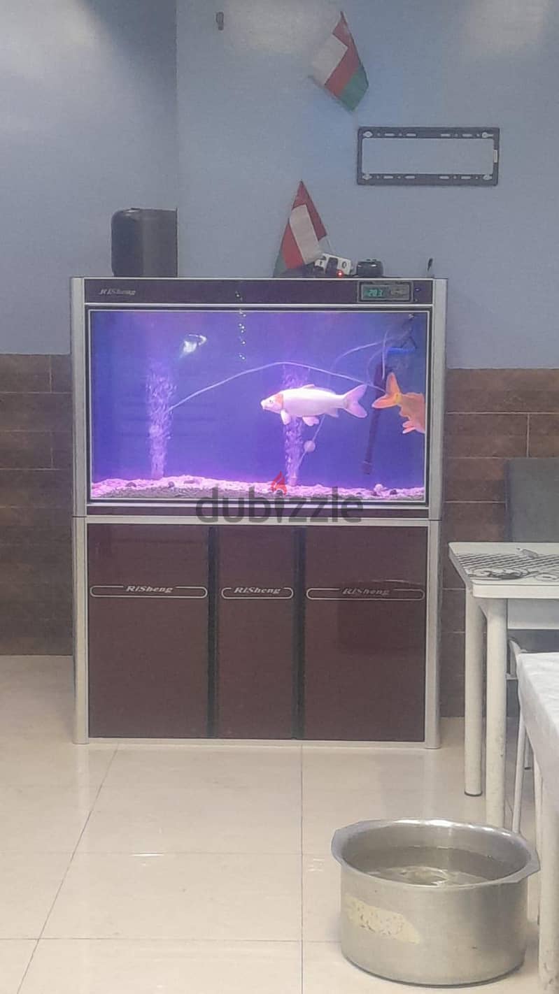 big sige aquarium for sale 1