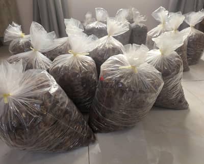 تمور عمانية فاخرة للبيع Premium Omani Dates for Sale