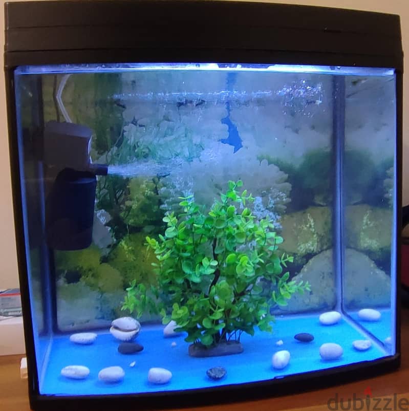 imported aquarium for sale including air pump filter and LED light 1