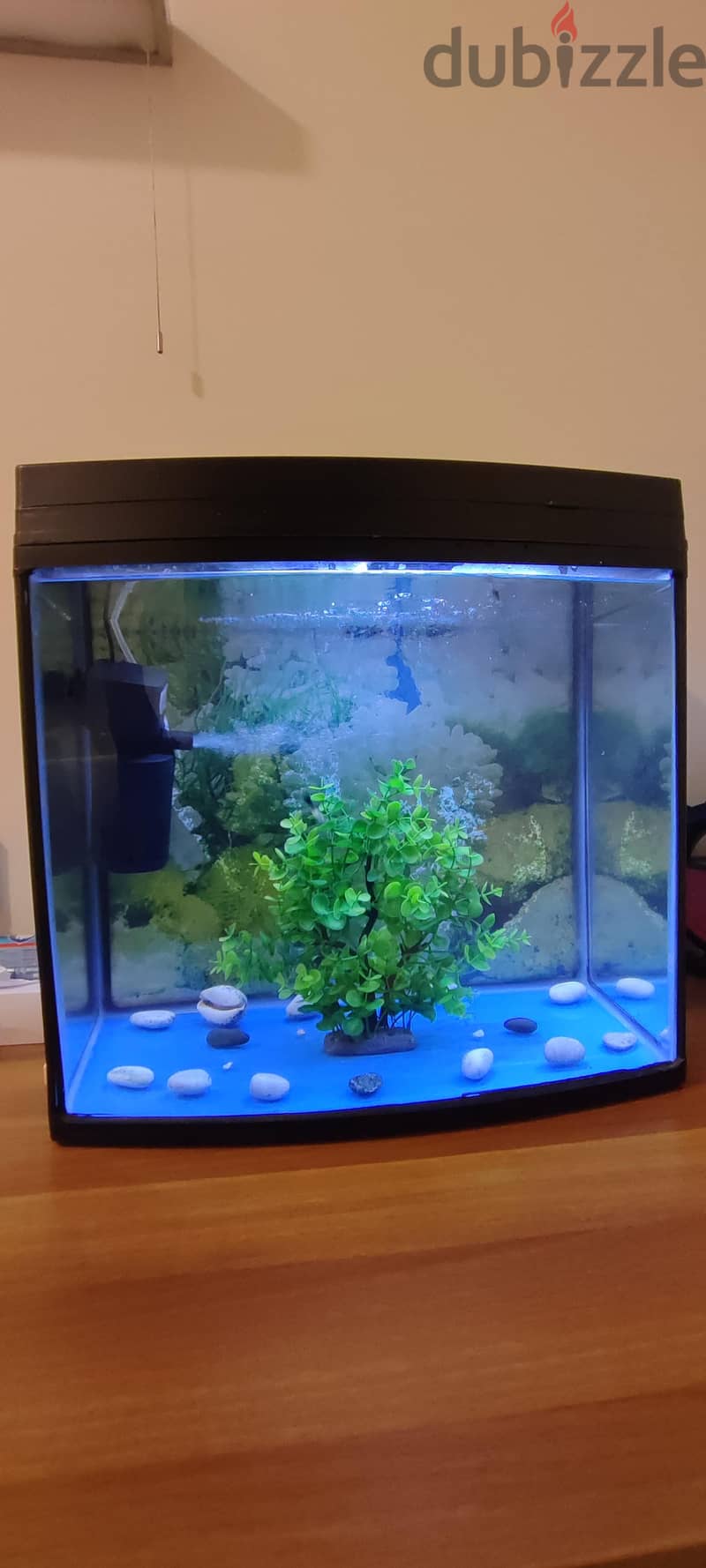 imported aquarium for sale including air pump filter and LED light 2