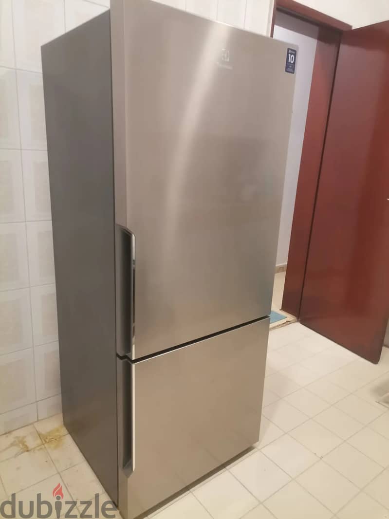 Big 351L Bottom Freezer Refrigerator 6