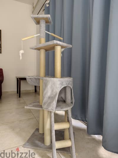 Cat play house