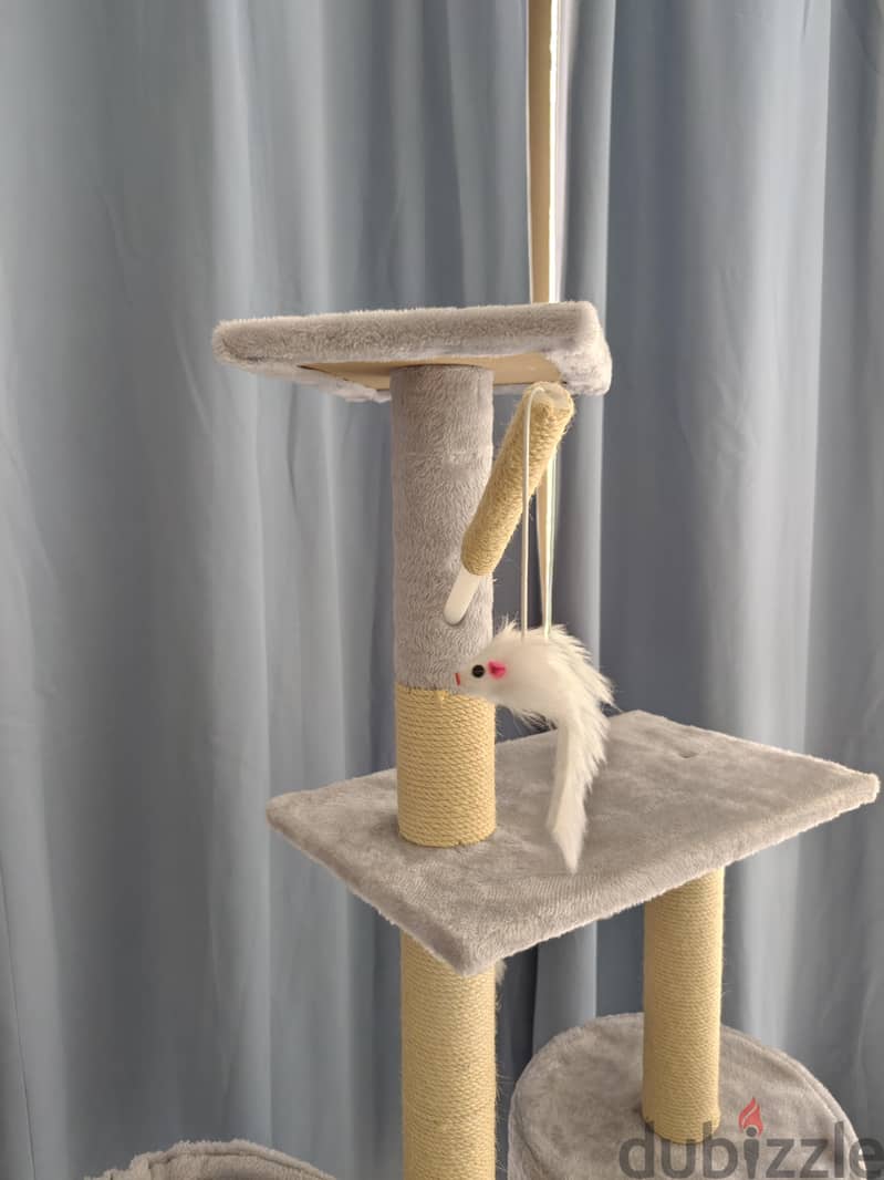 Cat play house 1