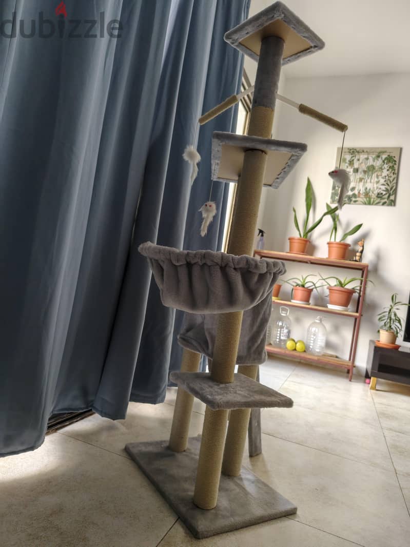 Cat play house 2