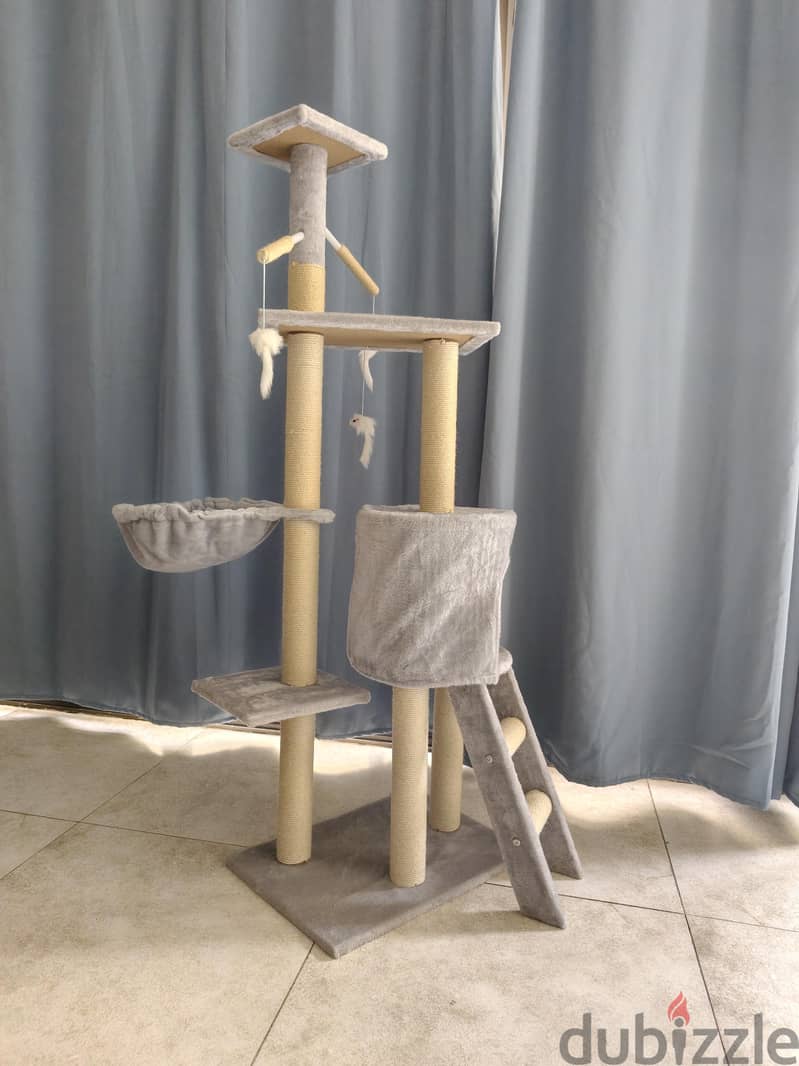 Cat play house 3