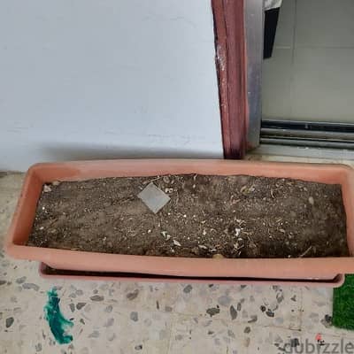 big pot with soil
