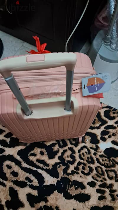 carry on luggage