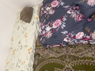 Female bedspace or room sharing