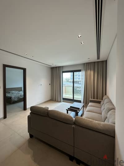 1 BHK Apartment for Rent in Muscat Hills