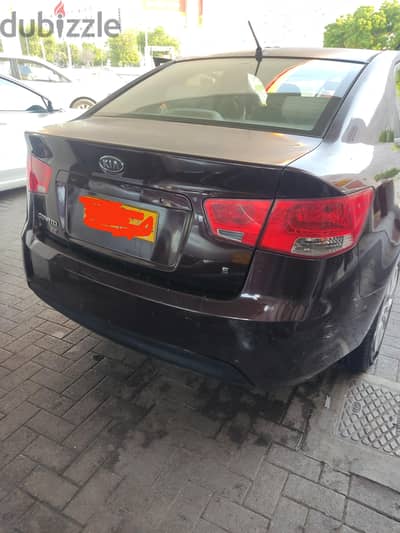 cerato
