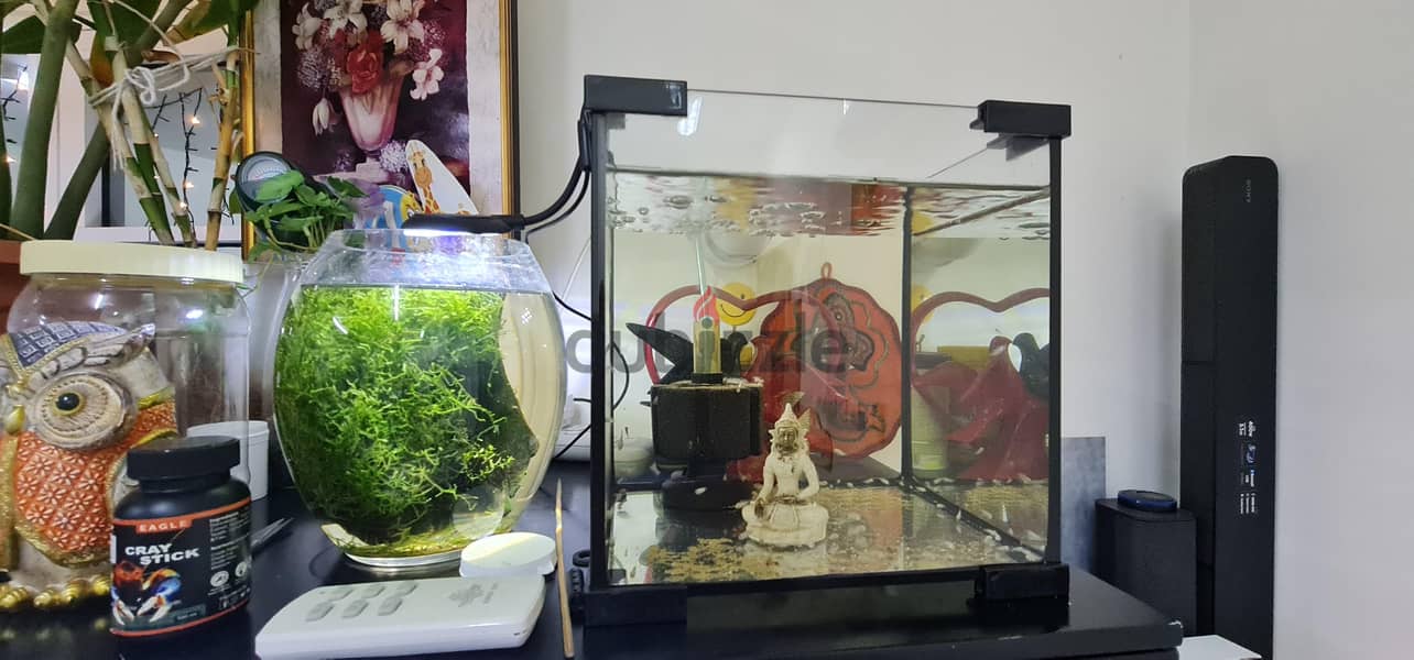 aquarium 1