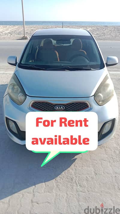 kia picanto for rent