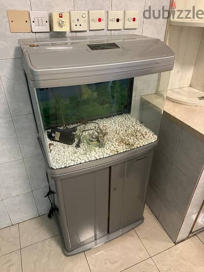Fish tank with all accessories for sale
