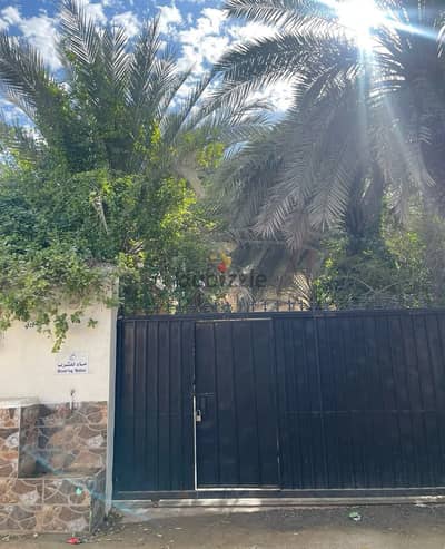 DAILY RENT | Al Ghandouri Farm – Muscat