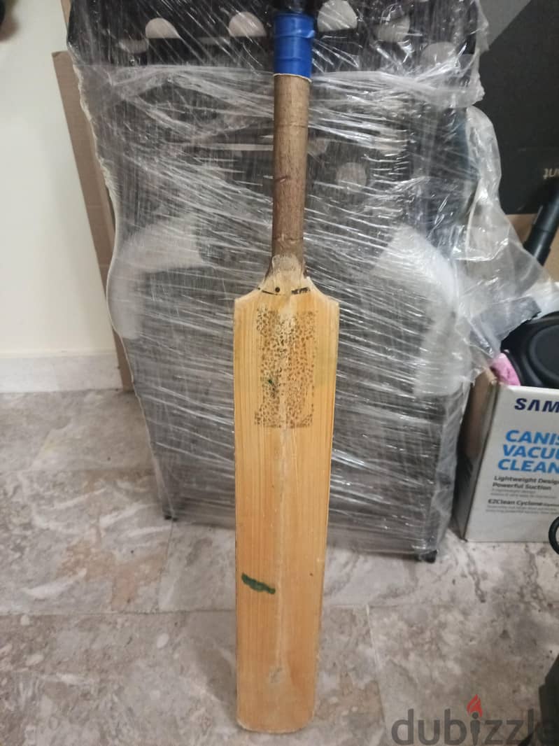 cricket bat 1