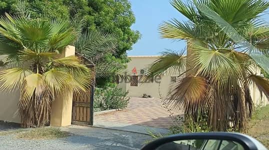  FOR RENT | Villa in Al Hambar – Sohar